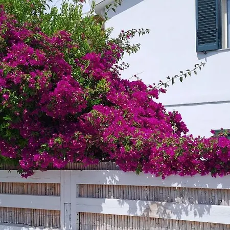 Piero'S Apartment Calasetta Exterior photo
